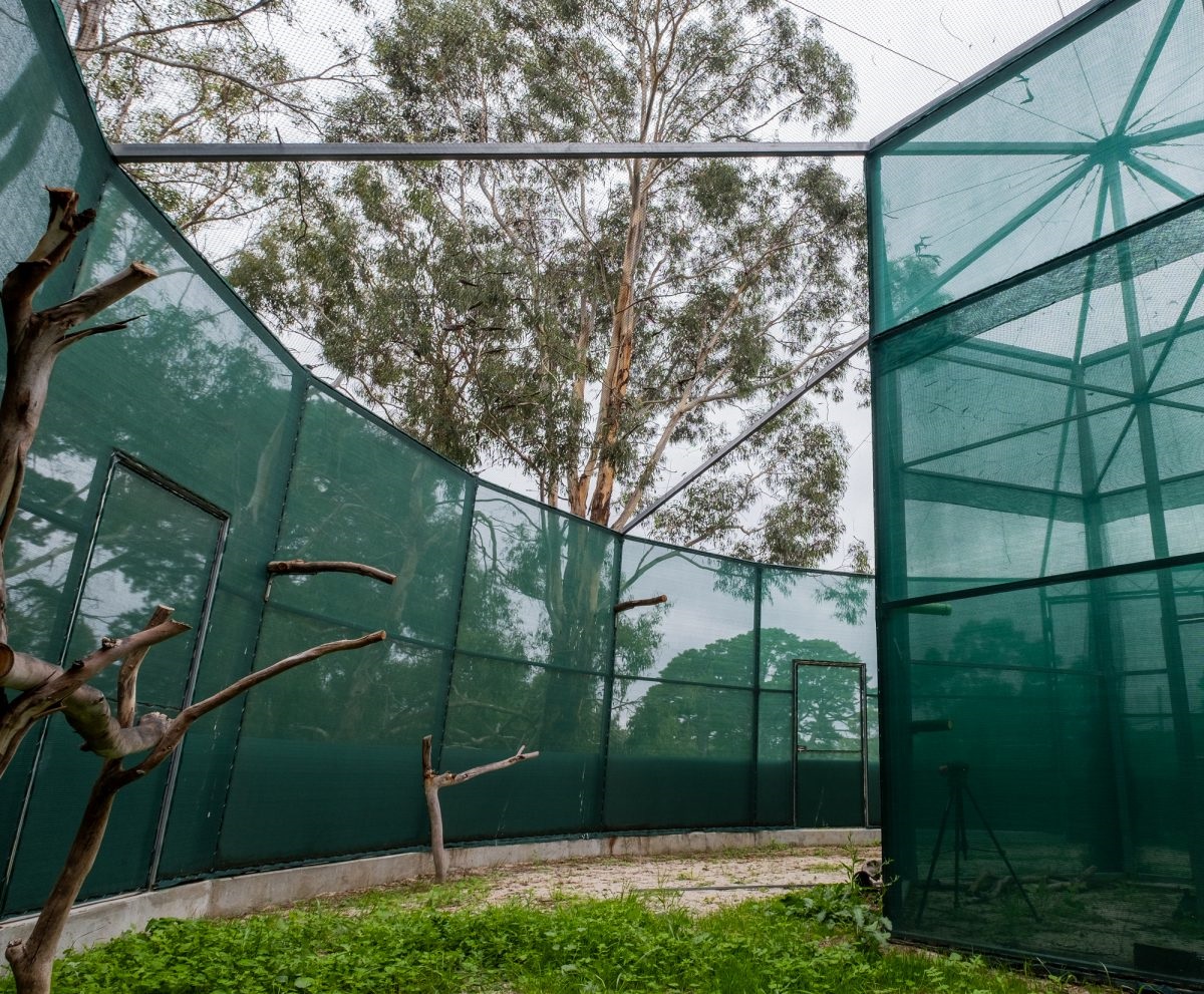 Cherry Gardens animal rescue centre Minton Farm is restoring native wildlife back to health and home in the Onkaparinga region and beyond.