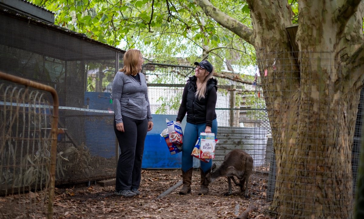 Cherry Gardens animal rescue centre Minton Farm is restoring native wildlife back to health and home in the Onkaparinga region and beyond.