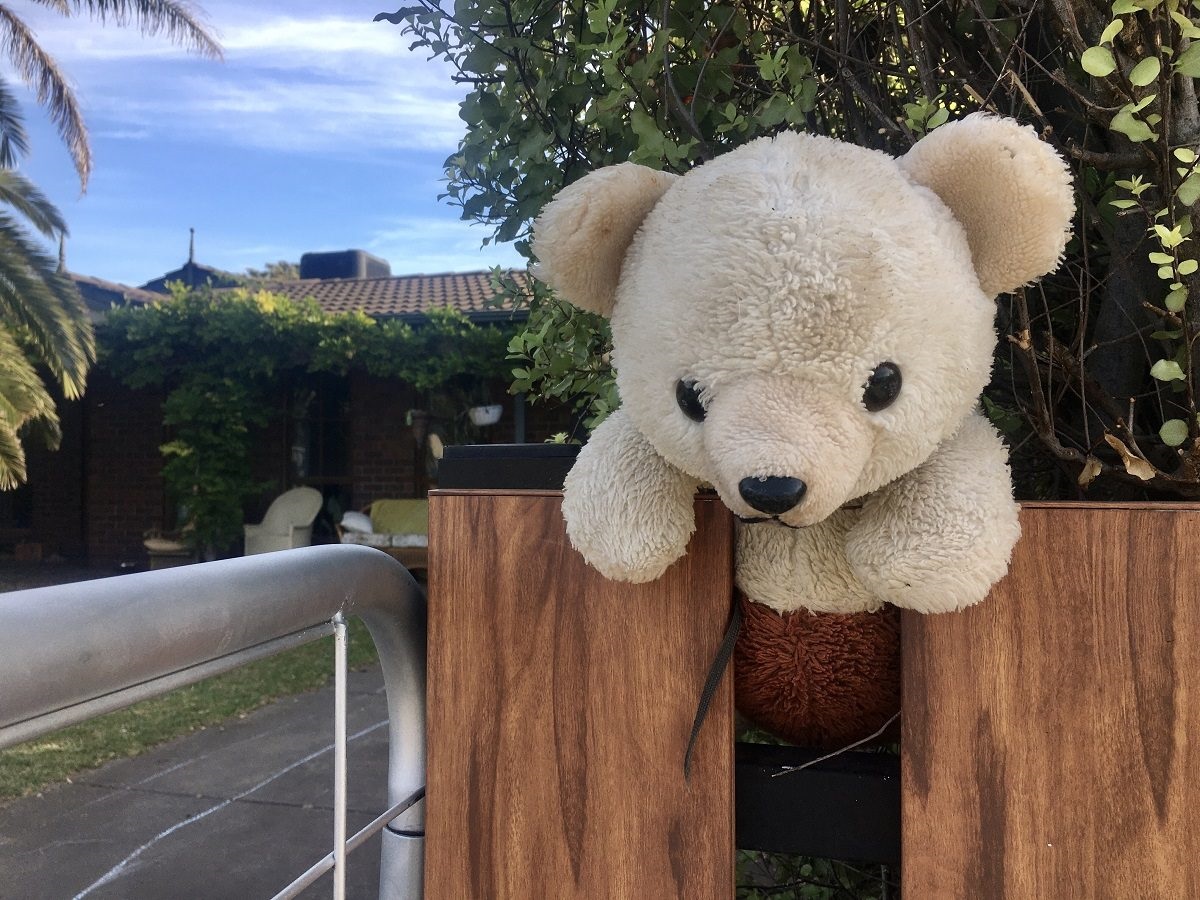 A teddy greets passersby at Maslin Beach.