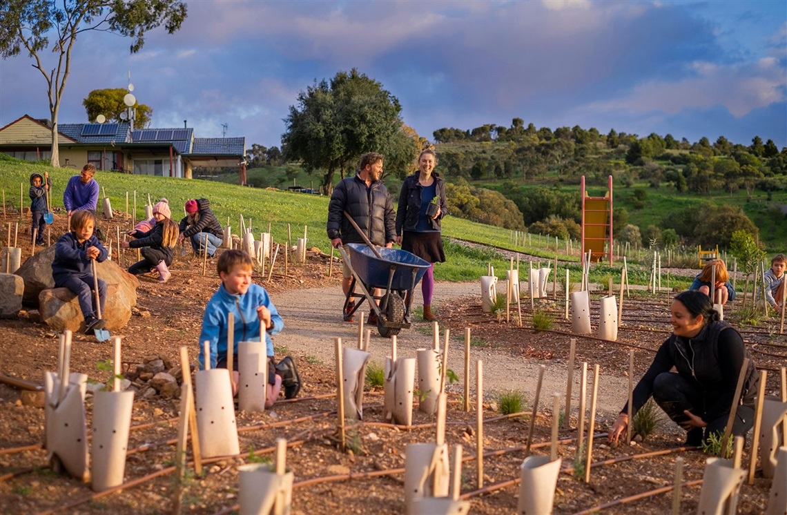 A group of passionate Darlington residents are working to refresh Godfrey Street Reserve from a dry and dusty landscape into an inviting nature hub.