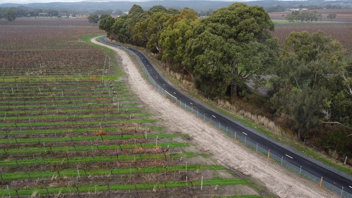 An aerial view of the shared-use Flat to Vale Trail snaking along a green and overcast landscape, bordered by trees and vineyards.
