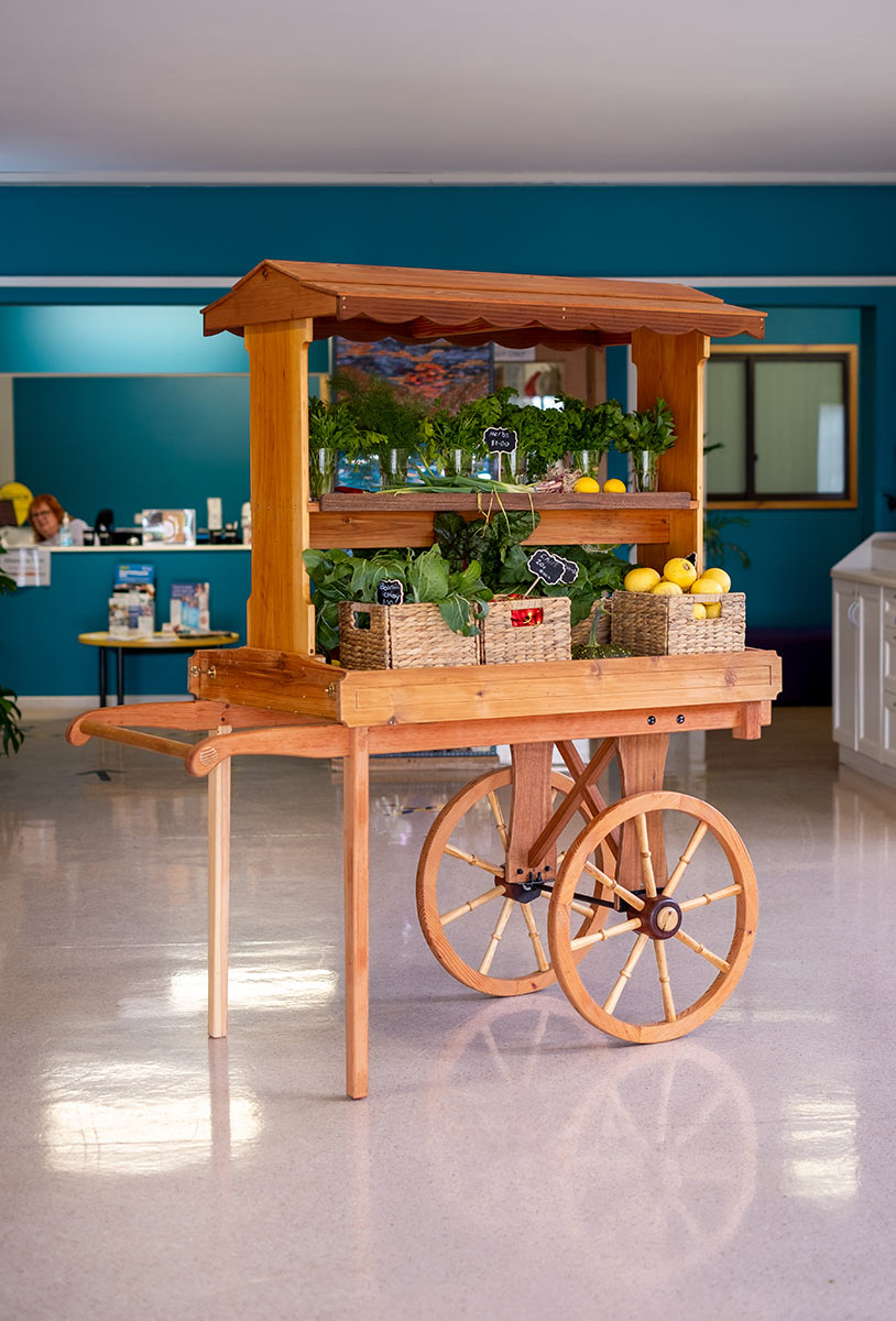 The vegetable cart made at the community shed