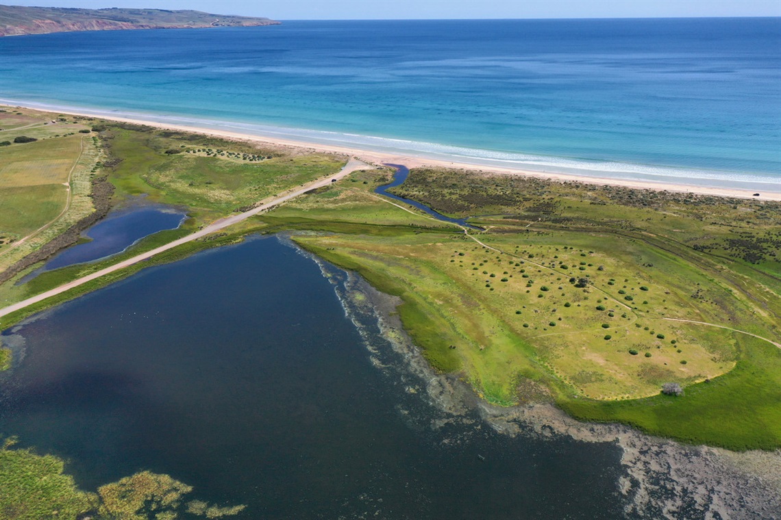 An aerial view of the Aldinga Washpool with green vegetation and the sandy coastline in the background.