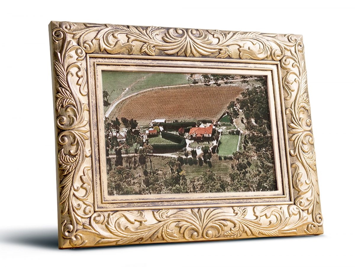 An archive photograph of Bundarra Vineyards, which today is the internationally acclaimed wine brand, d’Arenberg.