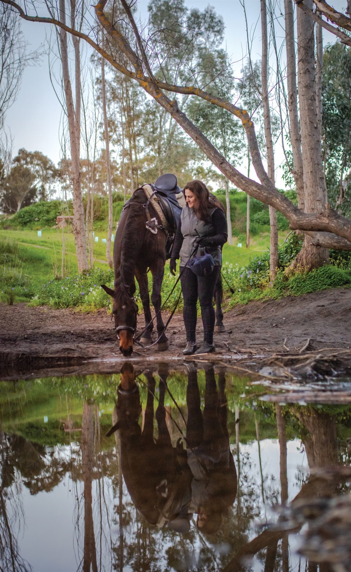 KATE COATES AND WICKER  refresh at the Frank Smith Reserve, a beautiful section of the Tom Roberts Horse Trail.