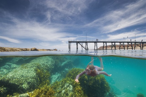 Ella explores the Port Noarlunga Reef Aquatic Reserv