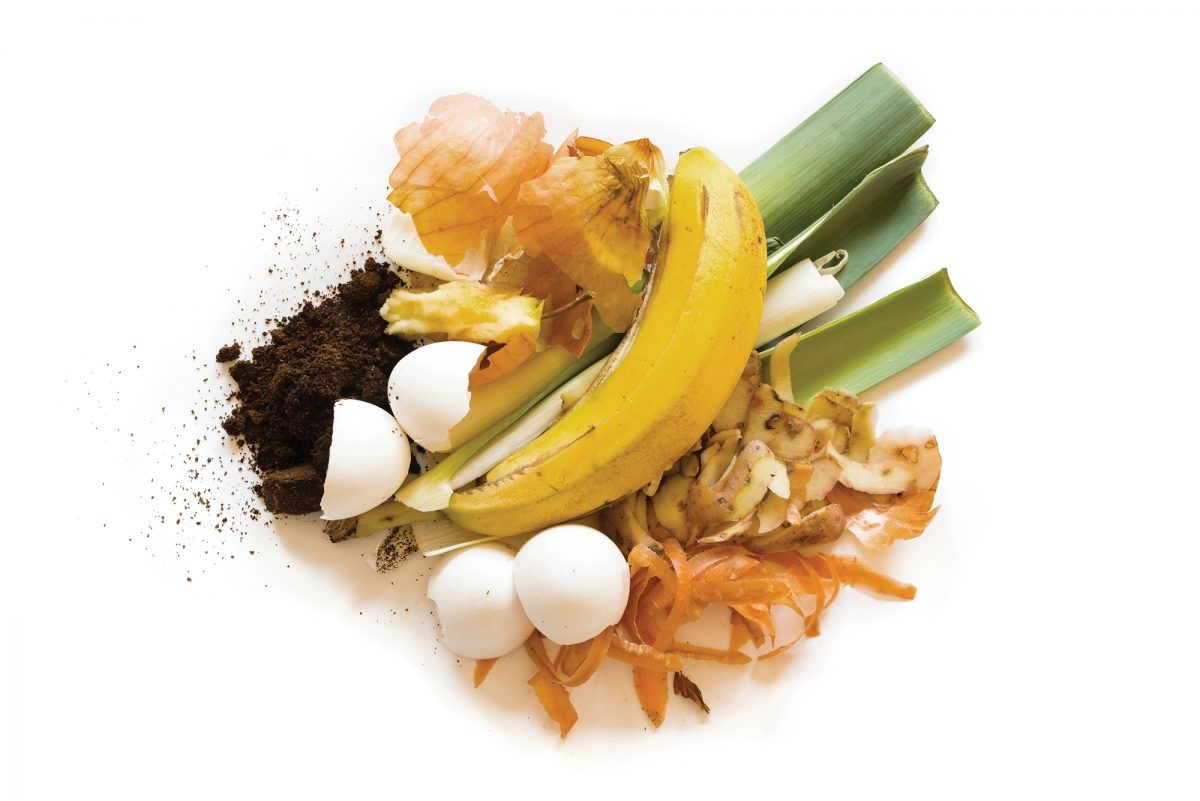 if it grows, it goes in the green organics bin