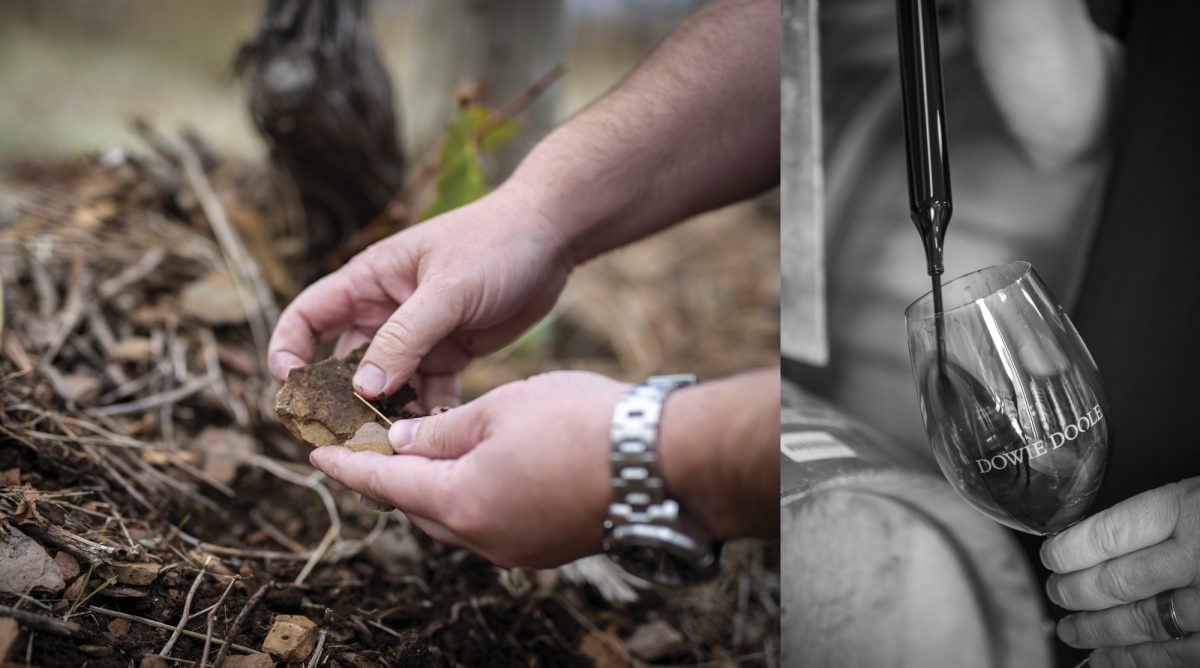 the rock paddock imparts unique flavours to Dowie Doole Shiraz; sampling the maturing wine.