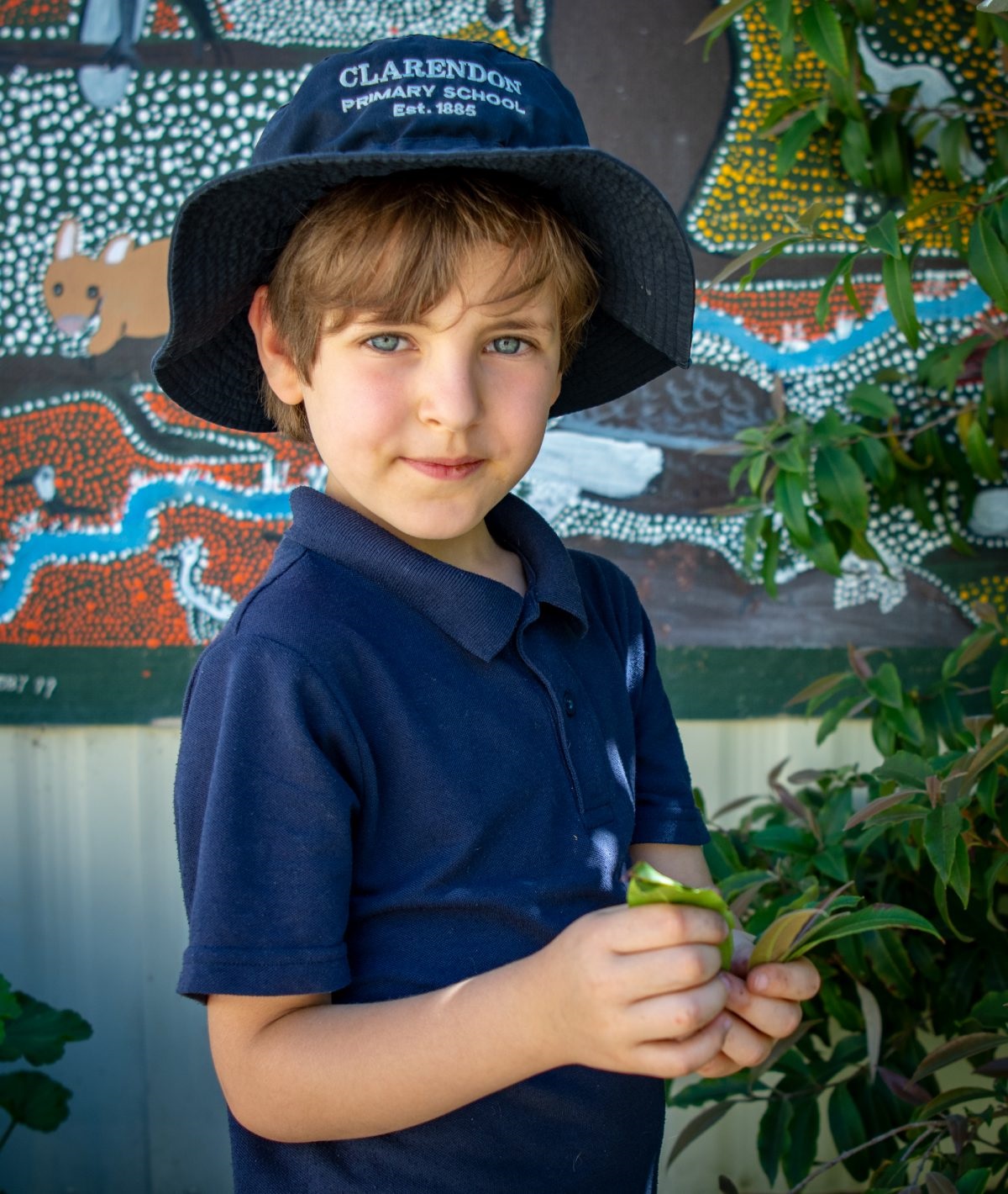 Luca, Perry and Molise tend the school’s kitchen garden; finding pine beetles add to the experience; Luca harvests Lemon Myrtle leaves.