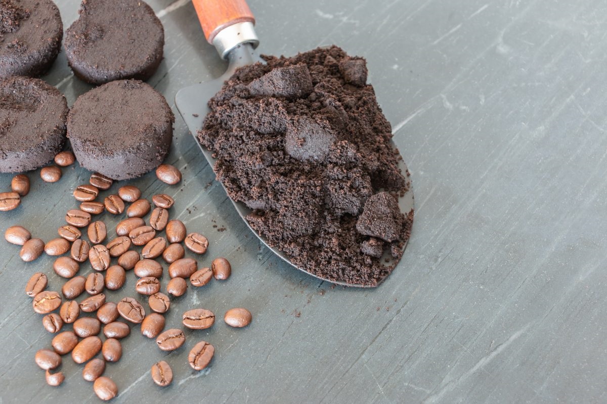 Make sustainability part of your daily grind