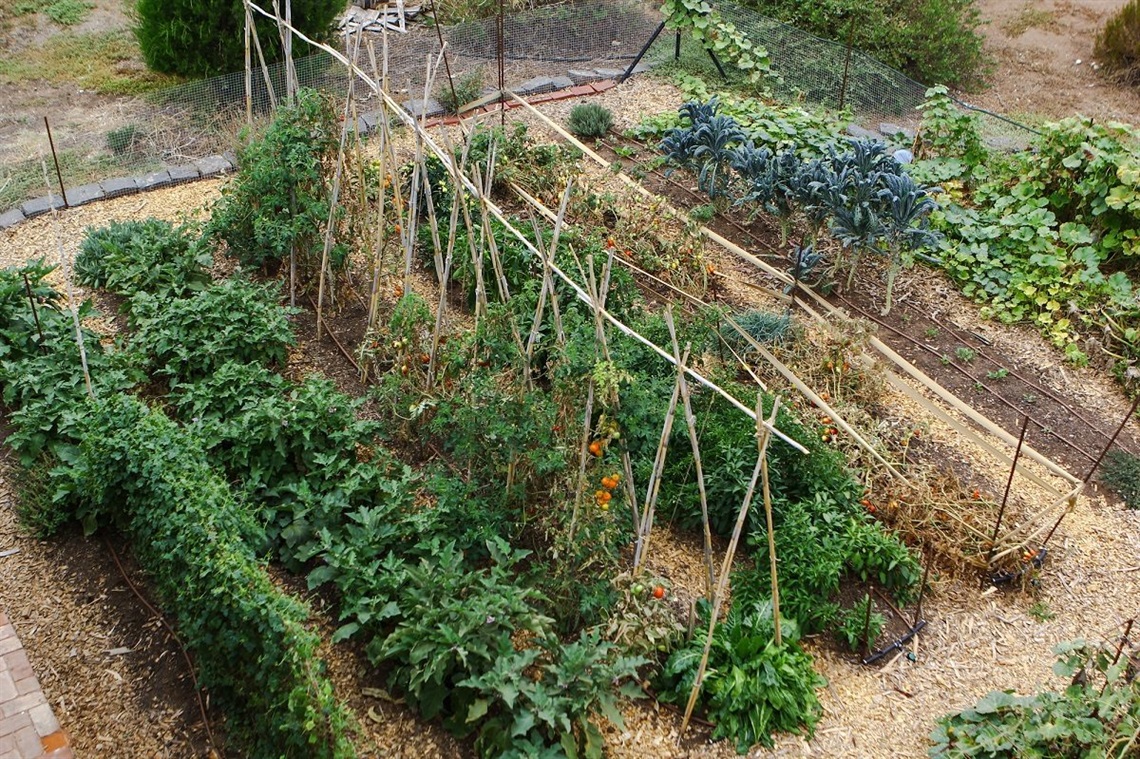 Scenes of Aldinga couple Dani and Sam's (Folk of all Trades) property and produce.