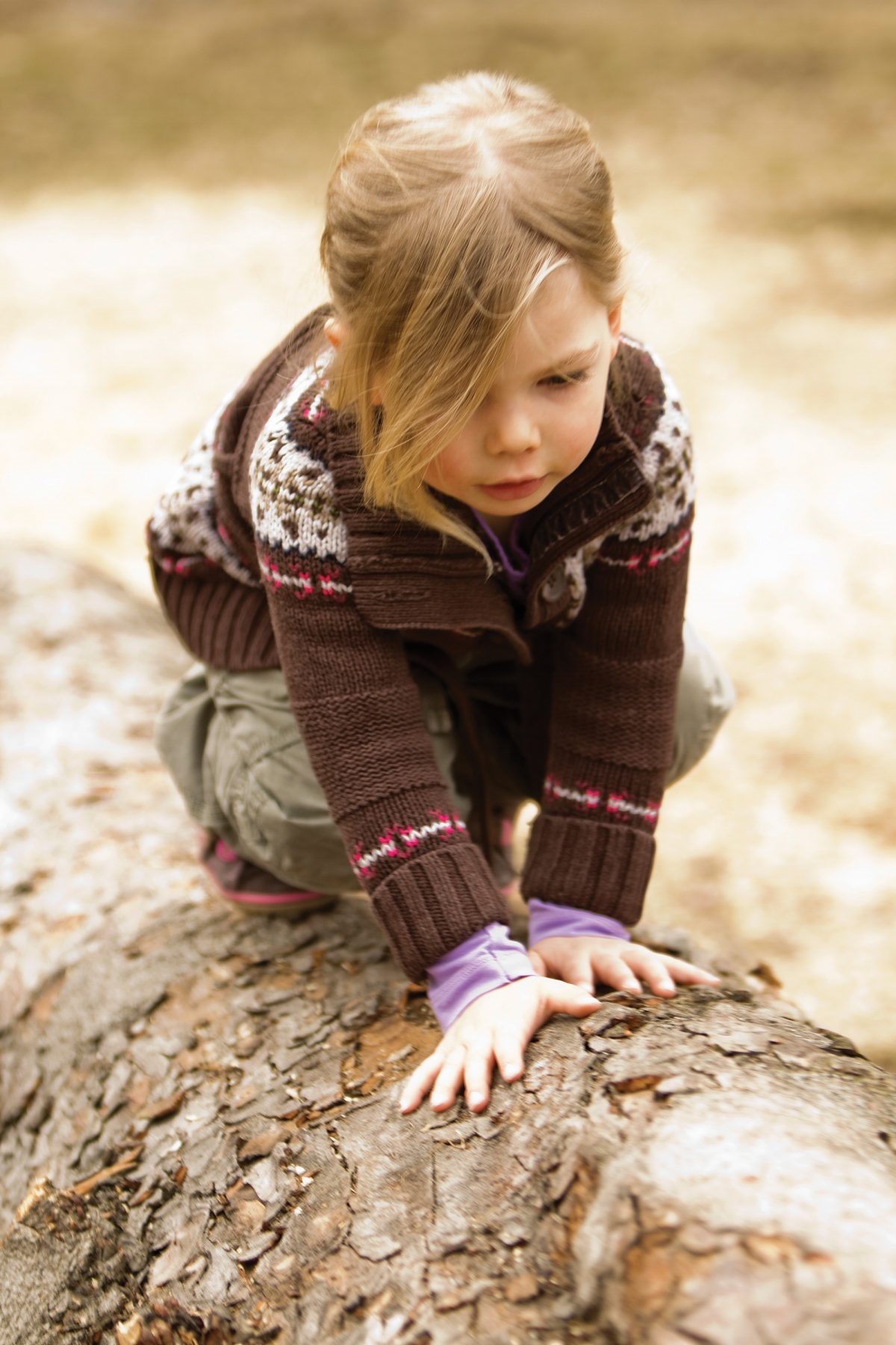 The Wilfred Taylor Reserve is home to MV Rail and its popular miniature train rides; nature play is a key focus of the reserve’s upgrade.