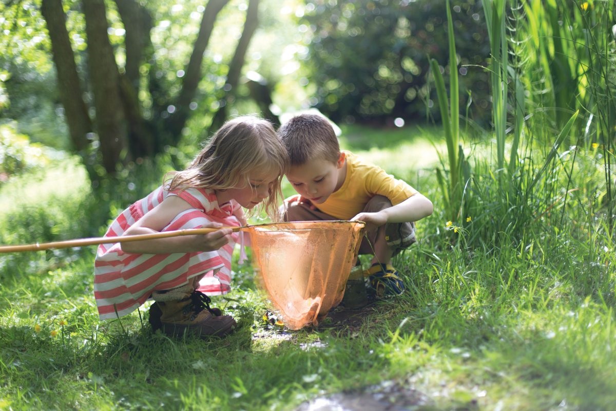 The Wilfred Taylor Reserve is home to MV Rail and its popular miniature train rides; nature play is a key focus of the reserve’s upgrade.