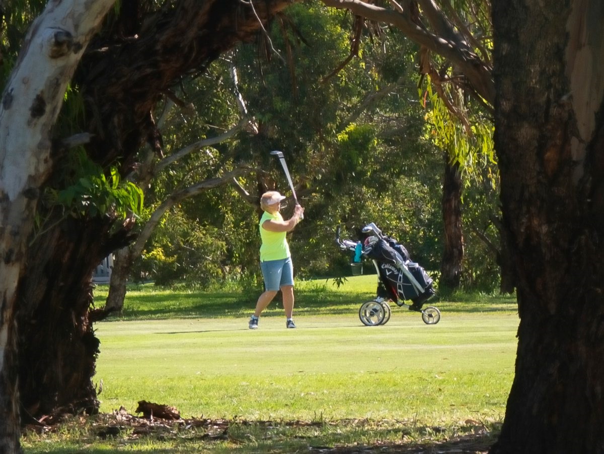 Ancient gums frame manicured fairways
