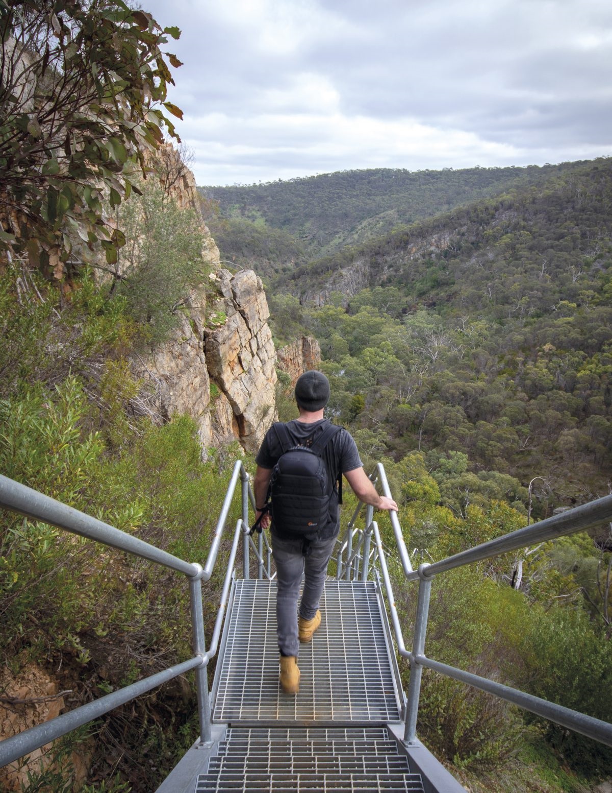 stepping into a natural wonderland