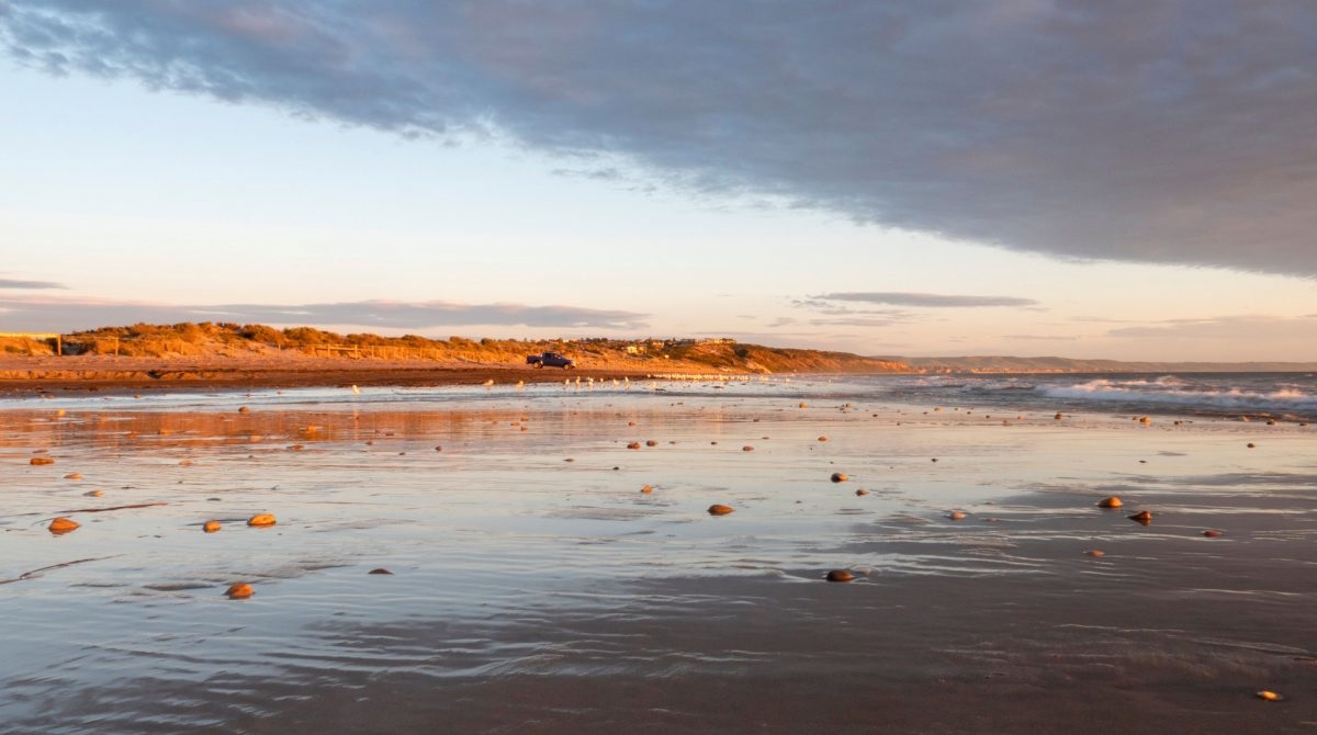 the wilderness is a few sandy steps from Moana Beach Tourist Park.
