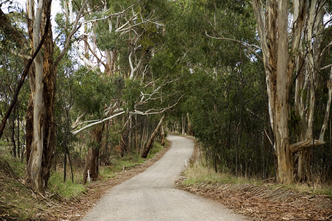 A winding road in Dorset Vale in the City of Onkaparinga.