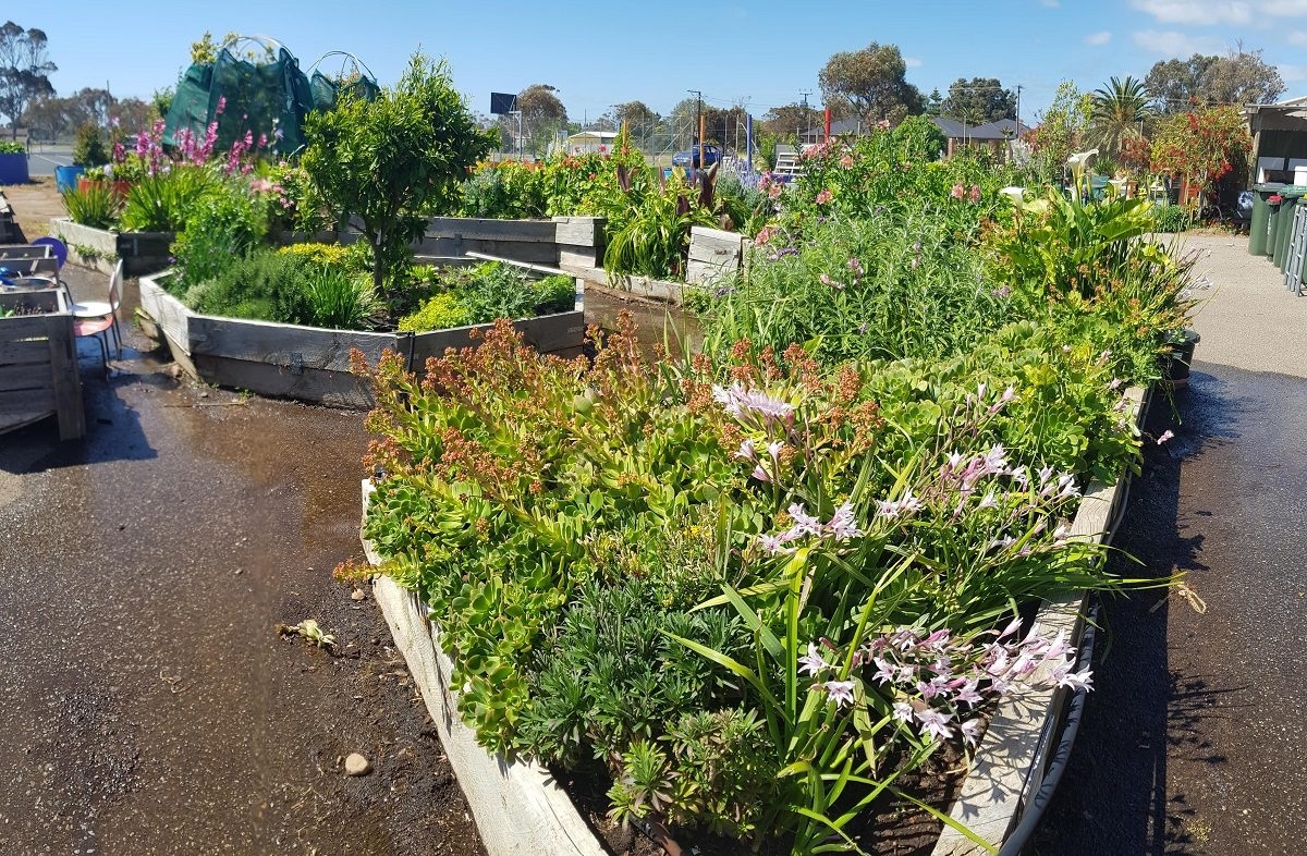 Best Edible Community Garden: Aldinga Community Centre