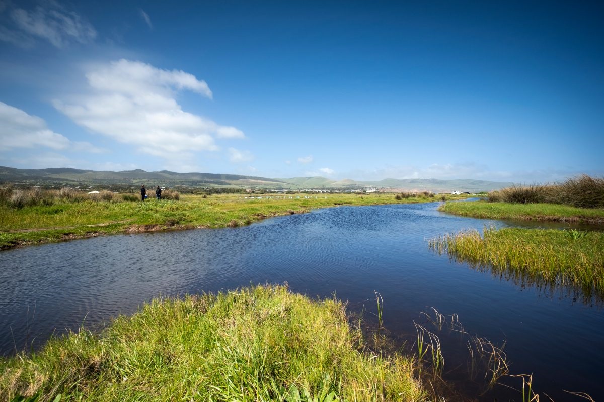 Aldinga Washpool Lagoon