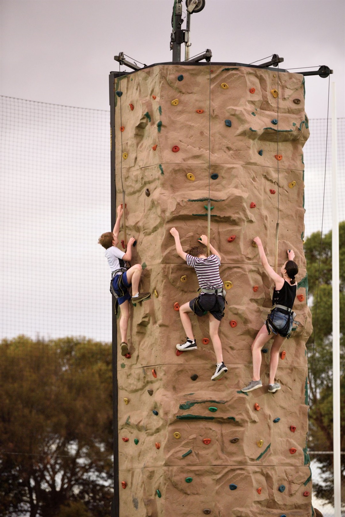 Australia Day Bush Fair