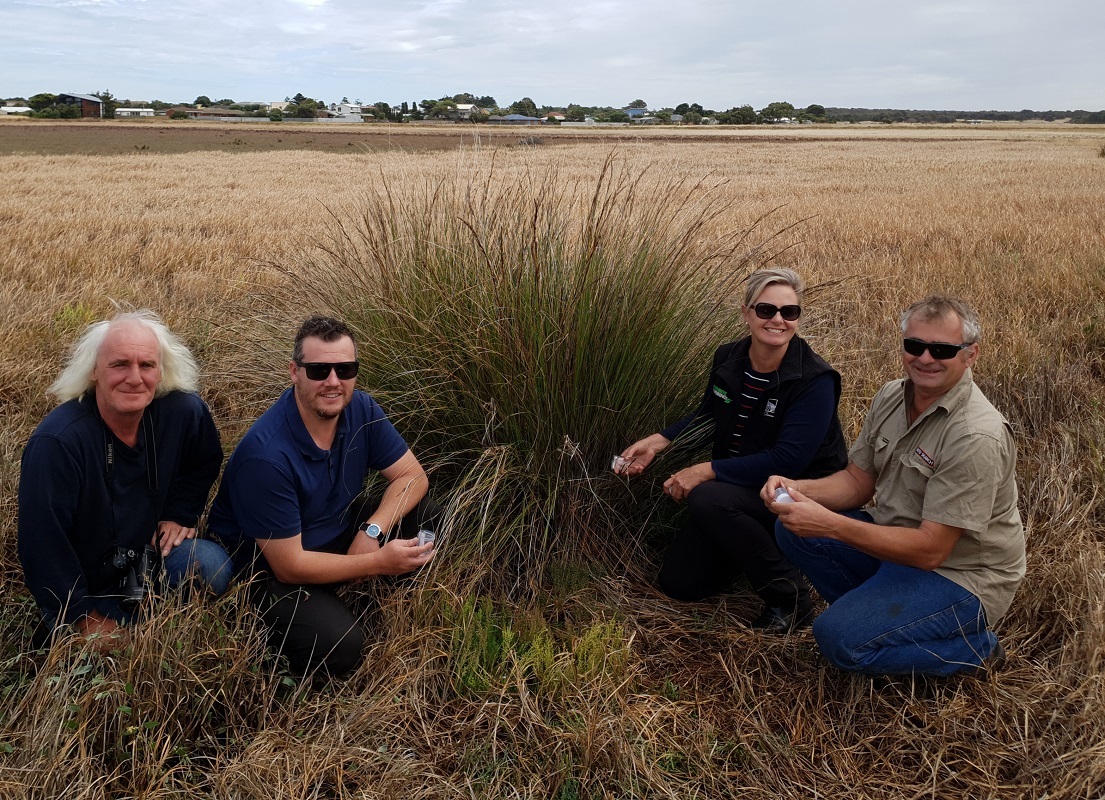 Butterflies are released at Aldinga Washpool.