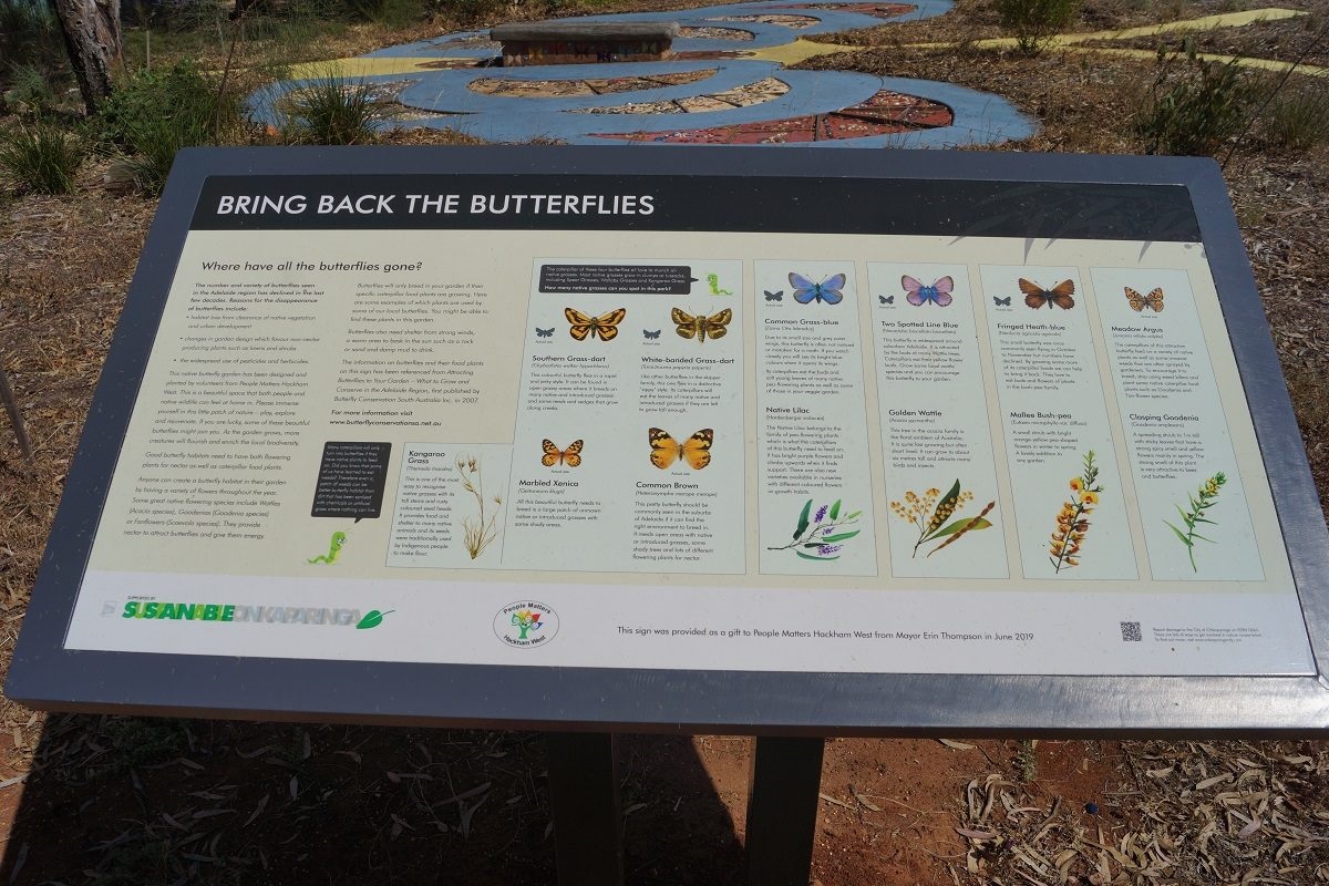 Scenes from the Vintners Walk Butterfly Garden and Hackham West Men's Shed