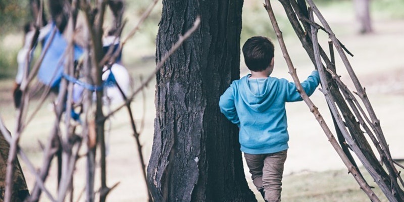 Build a cubby with an online Nature Play session.