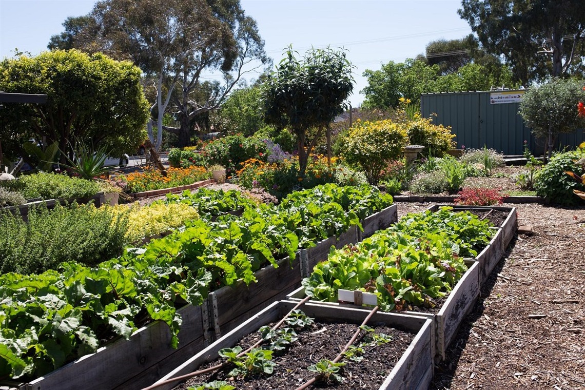 Best Community Garden: Elizabeth House Positive Ageing Centre
