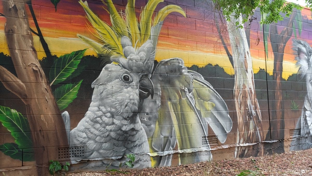Two years ago, a group of community groups, led by the City of Onkaparinga and the Connect Christie Downs working group