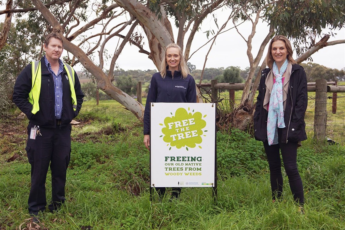City of Onkaparinga's Ian Hockley, Hills and Fleurieu Landscape Board's Dana Miles and Blewett Springs resident Becky Hirst inspecting a lane cleared of feral olive trees.