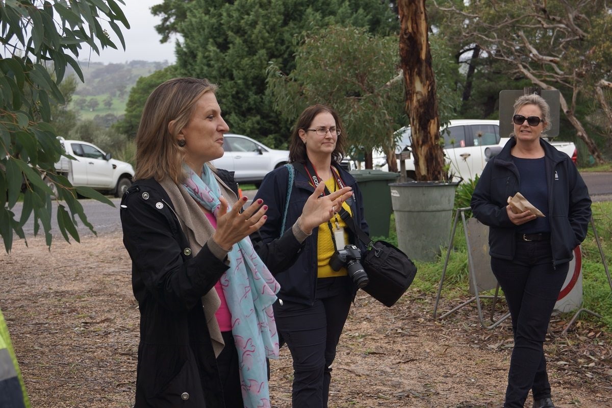 City of Onkaparinga's Ian Hockley, Hills and Fleurieu Landscape Board's Dana Miles and Blewett Springs resident Becky Hirst inspecting a lane cleared of feral olive trees.