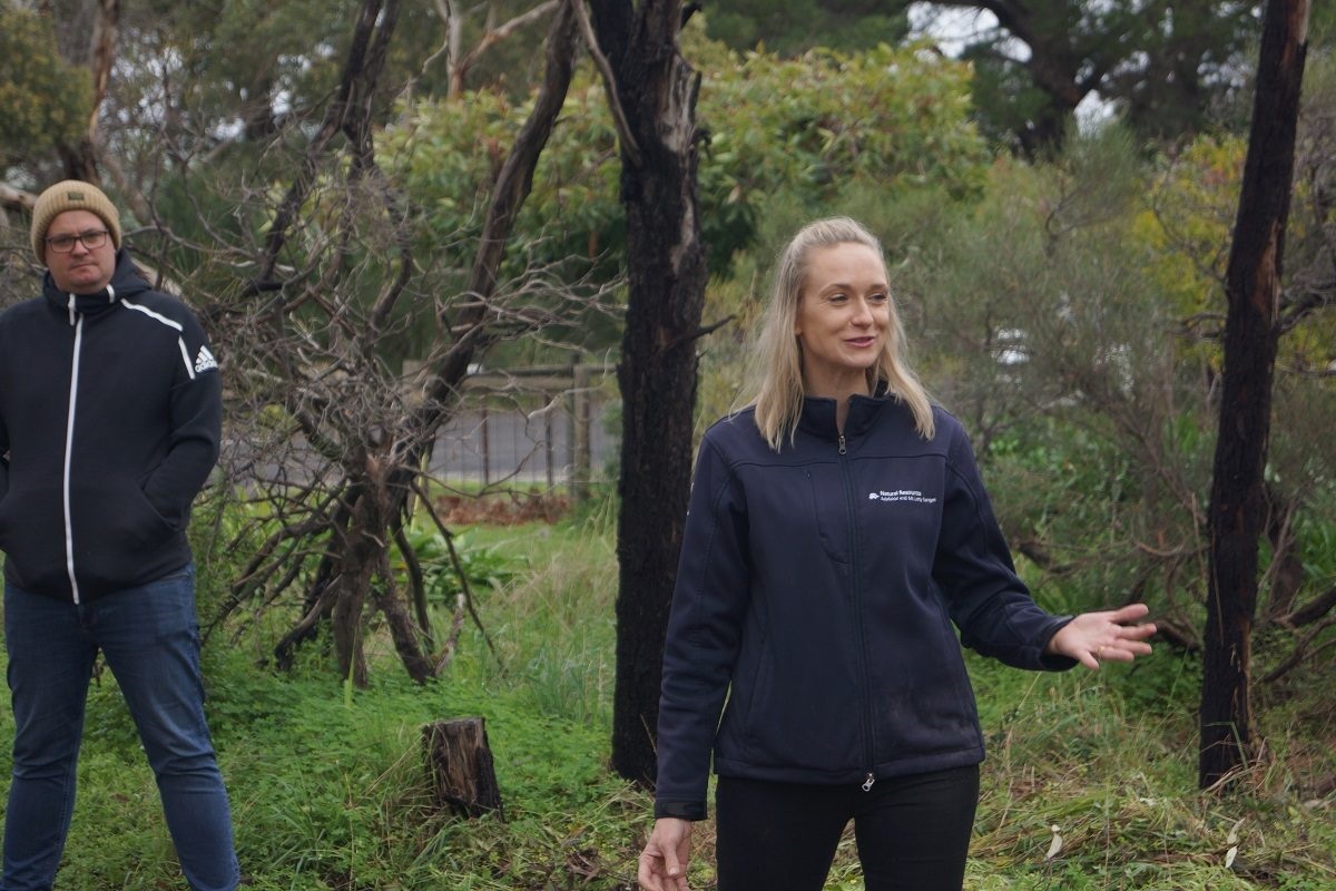 City of Onkaparinga's Ian Hockley, Hills and Fleurieu Landscape Board's Dana Miles and Blewett Springs resident Becky Hirst inspecting a lane cleared of feral olive trees.