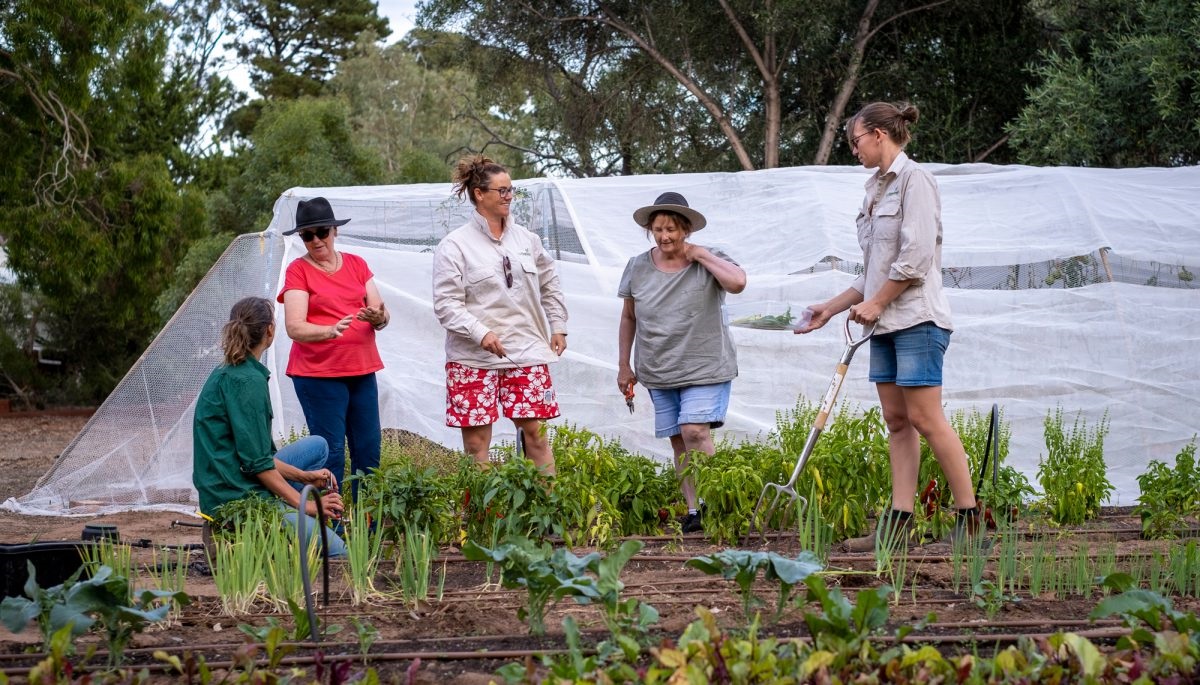 Bec Walker and John Walker enjoy their harvest of healthy food; volunteers help with the many activities that need to be done in the garden.