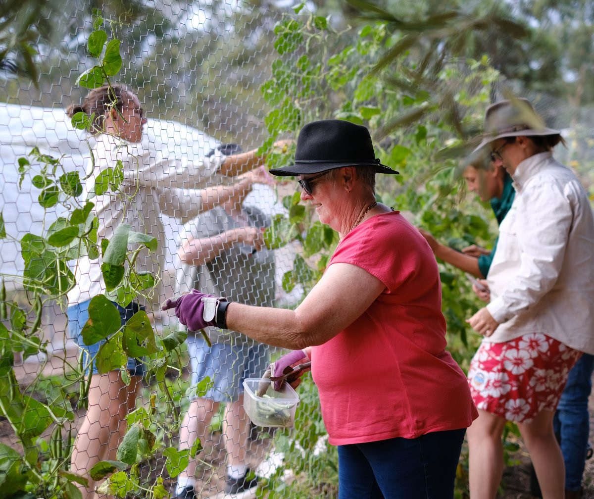 Bec Walker and John Walker enjoy their harvest of healthy food; volunteers help with the many activities that need to be done in the garden.