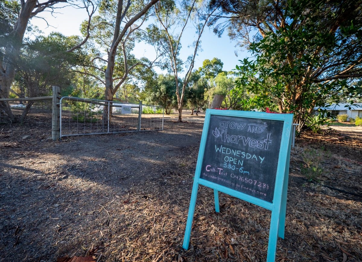 Bec Walker and John Walker enjoy their harvest of healthy food; volunteers help with the many activities that need to be done in the garden.