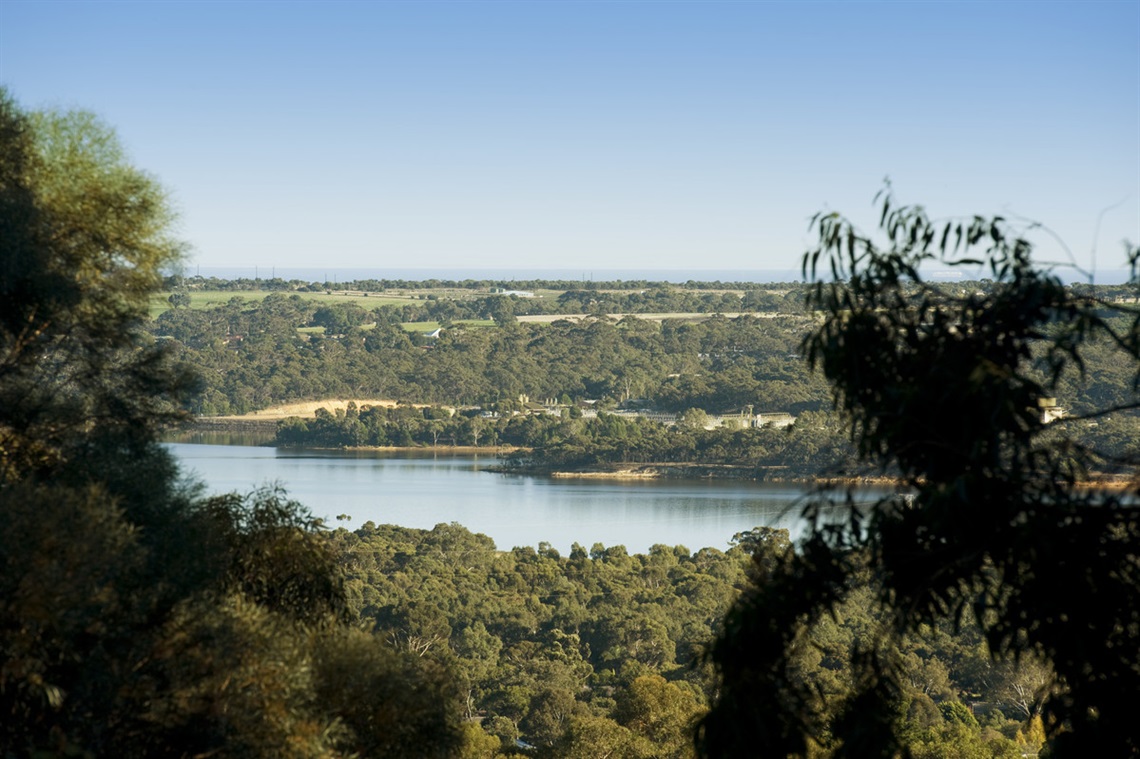 Happy Valley Reservoir