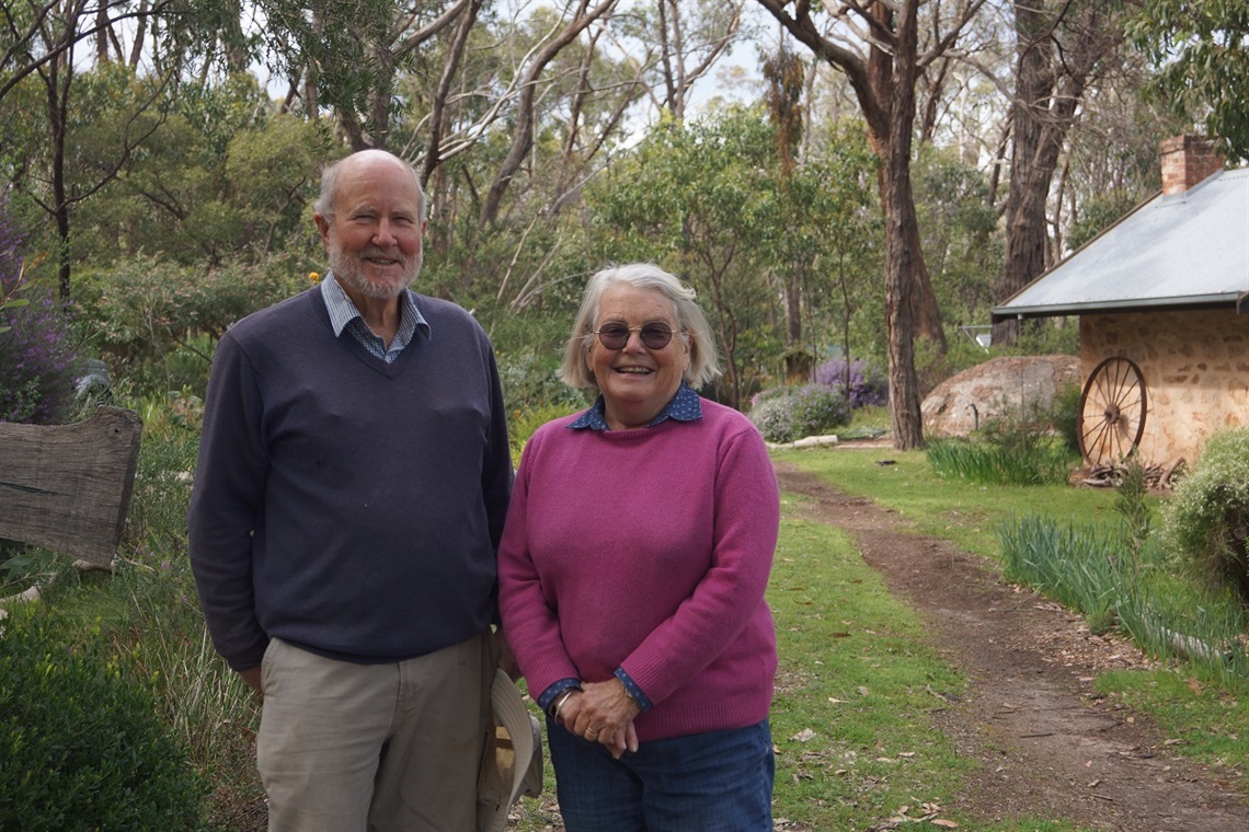 Scenes from the Goldney's property in Coromandel East.