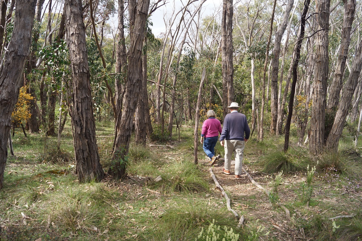 Scenes from the Goldney's property in Coromandel East.