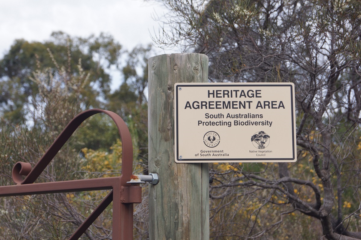 Scenes from the Goldney's property in Coromandel East.
