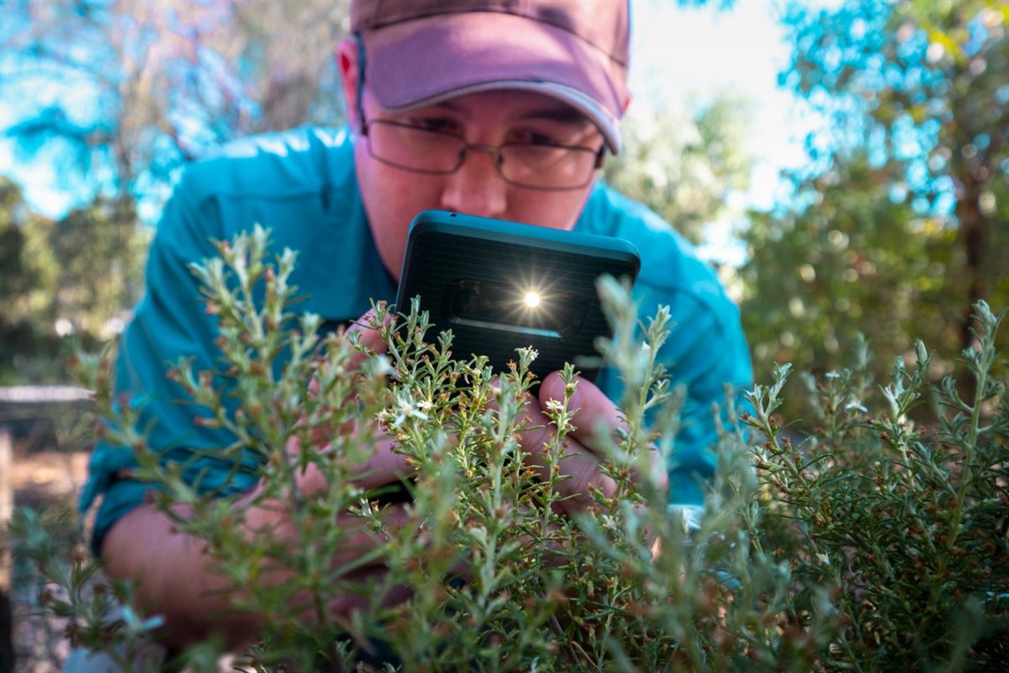 Join local naturalists and council staff in co-contributing to the online Naturehoodz project.