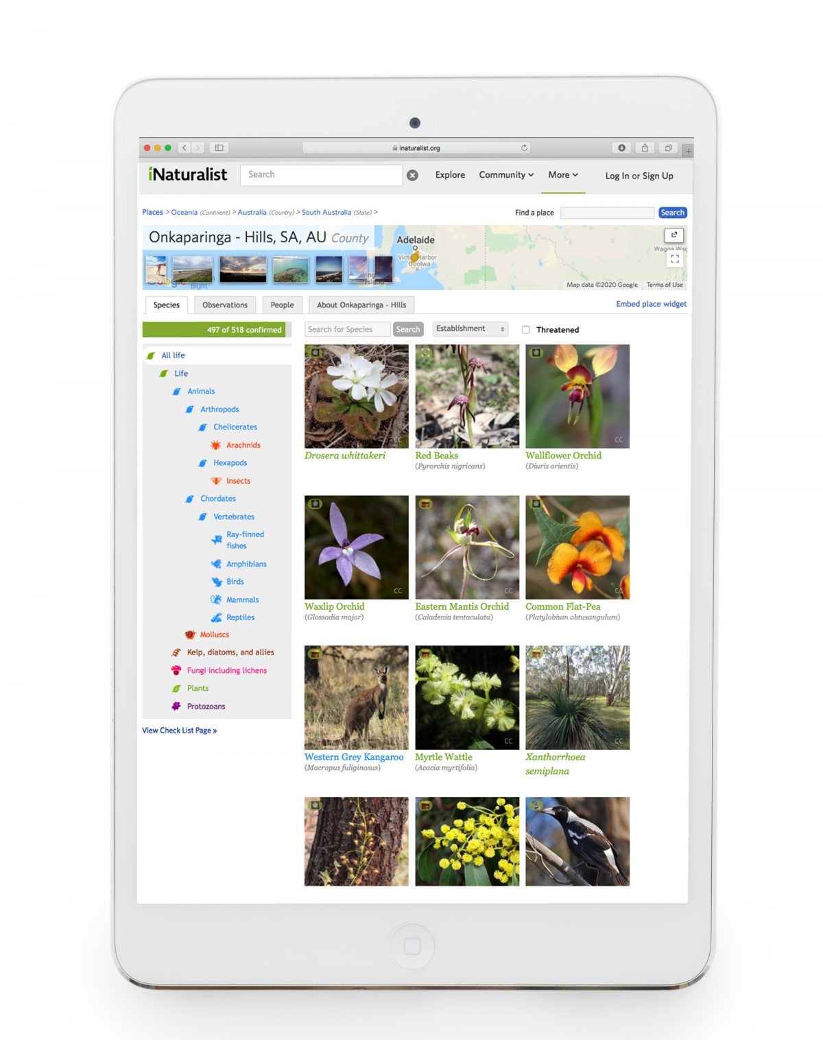 Join local naturalists and council staff in co-contributing to the online Naturehoodz project.