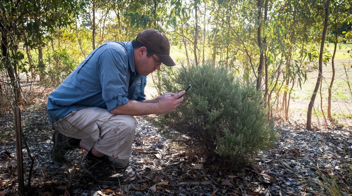 Join local naturalists and council staff in co-contributing to the online Naturehoodz project.
