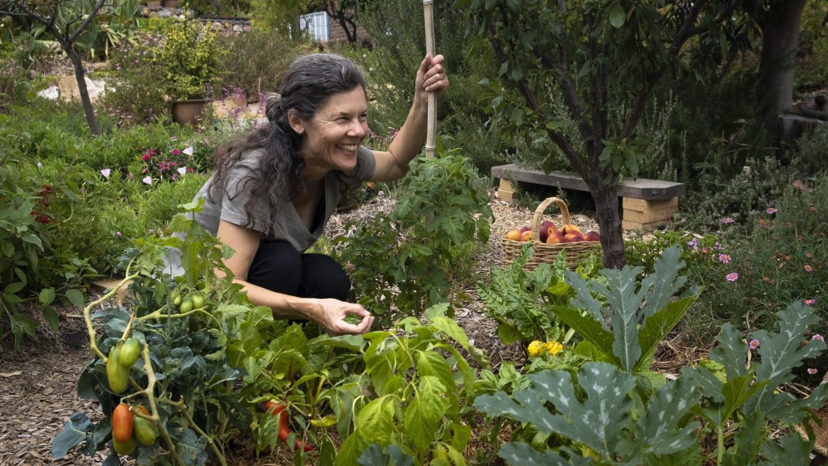 Amanda shows how you can grow food in a small space.