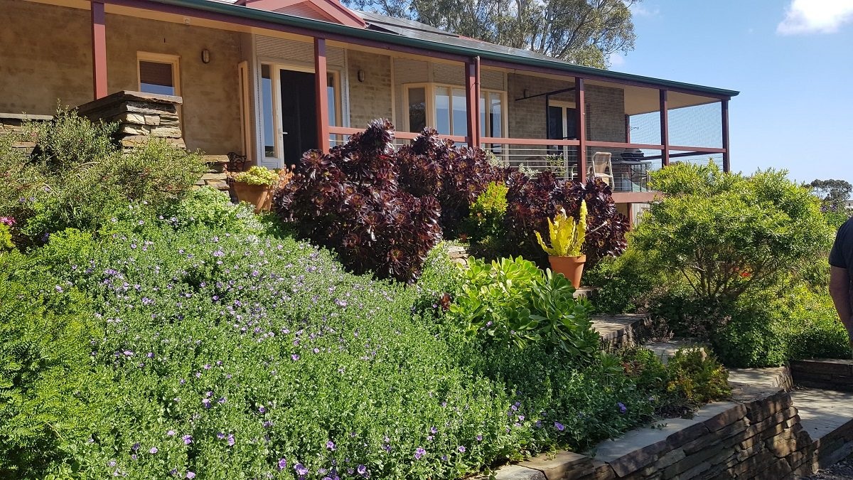 Best Residential Garden: Mark Staniforth, Willunga