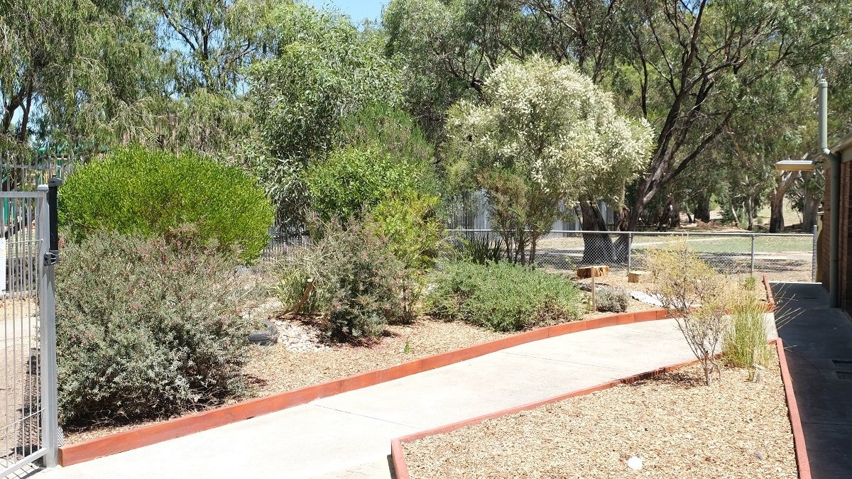 Scenes from Morphett Vale East Kindergarten