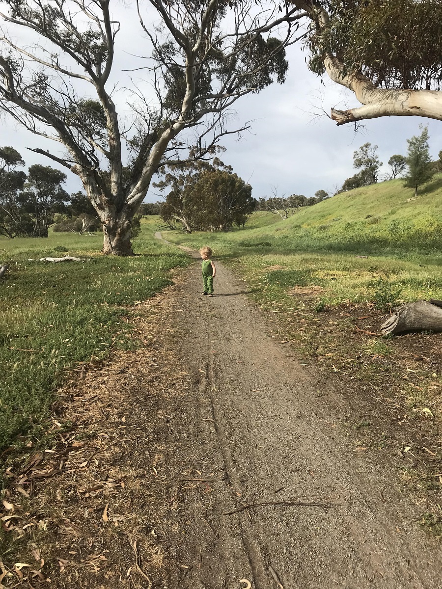 Pringle Farm Trail