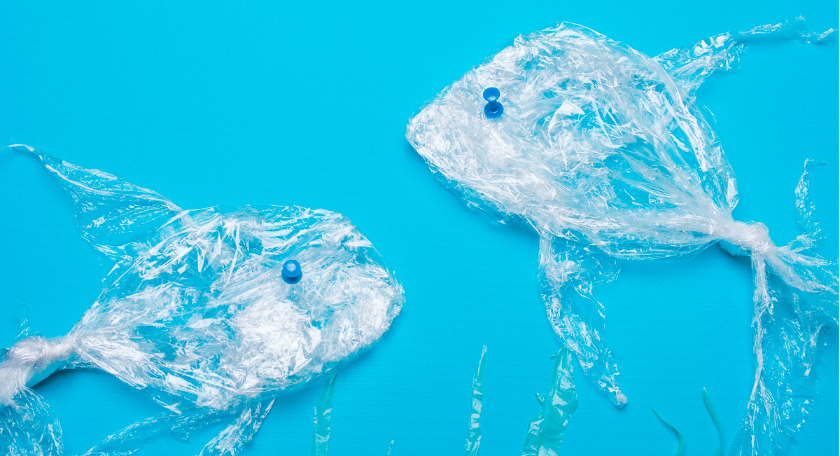Plastic fish