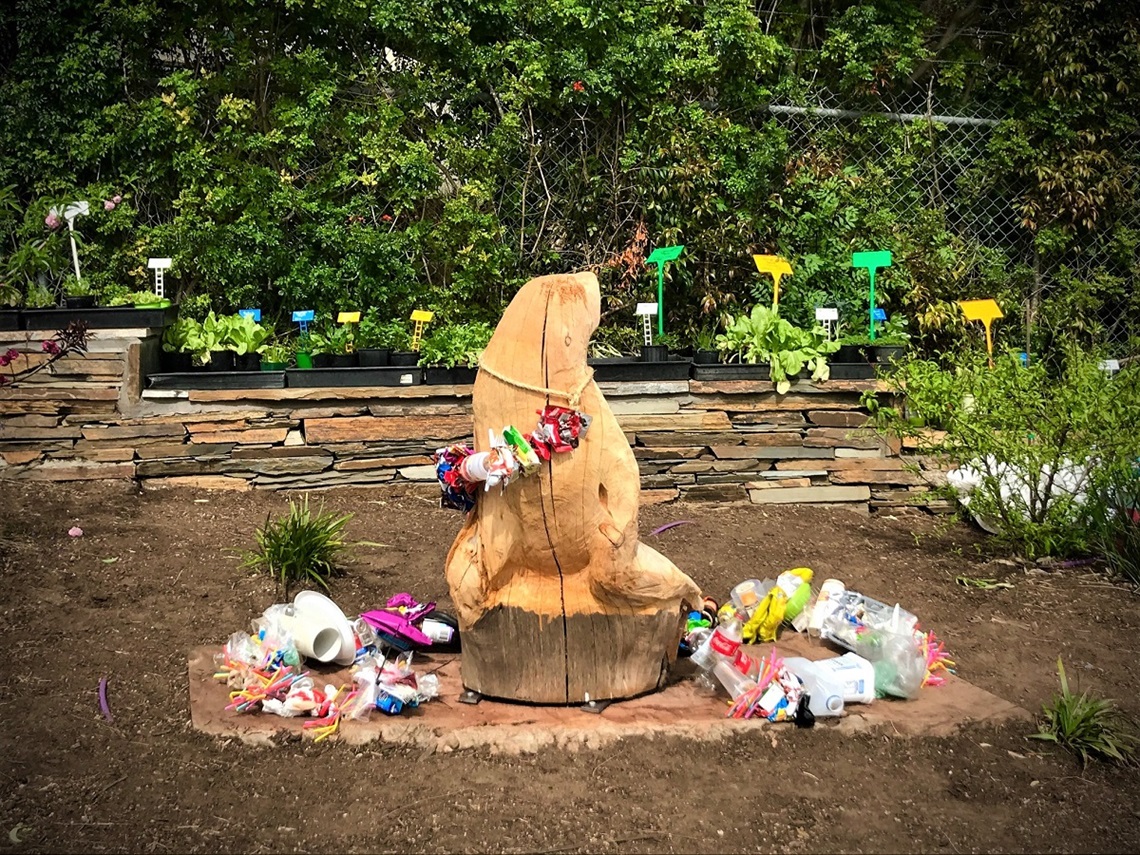 The wooden sculpture is a new temporary public artwork – titled ‘Can You Sea?’ – from Willunga Waldorf School year 12 student, Indiana Noon, who hopes you’ll heed the rubbish-strewn marine mammal’s message.