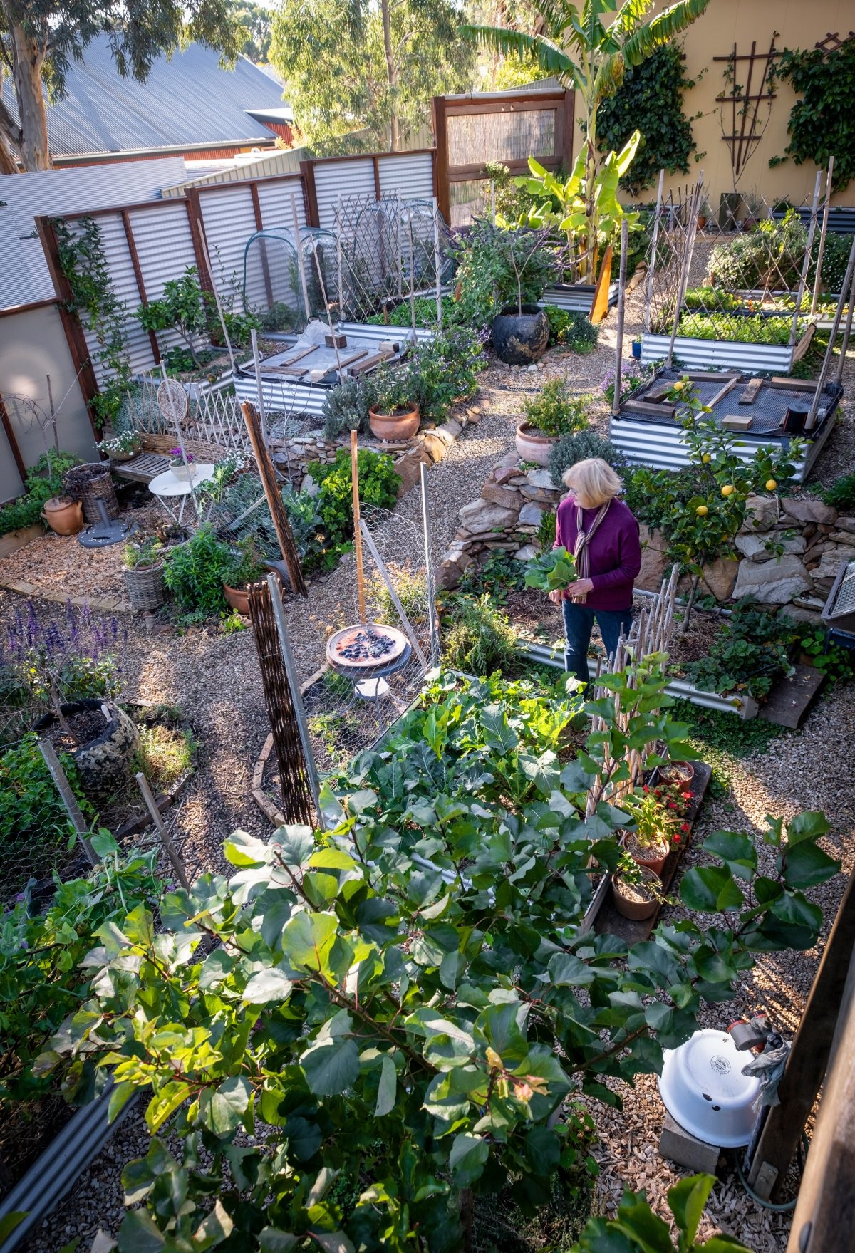 Sue Greenwood and Jason Garrood are living comfortably in their passively heated and cooled, light-filled and solar-powered home.