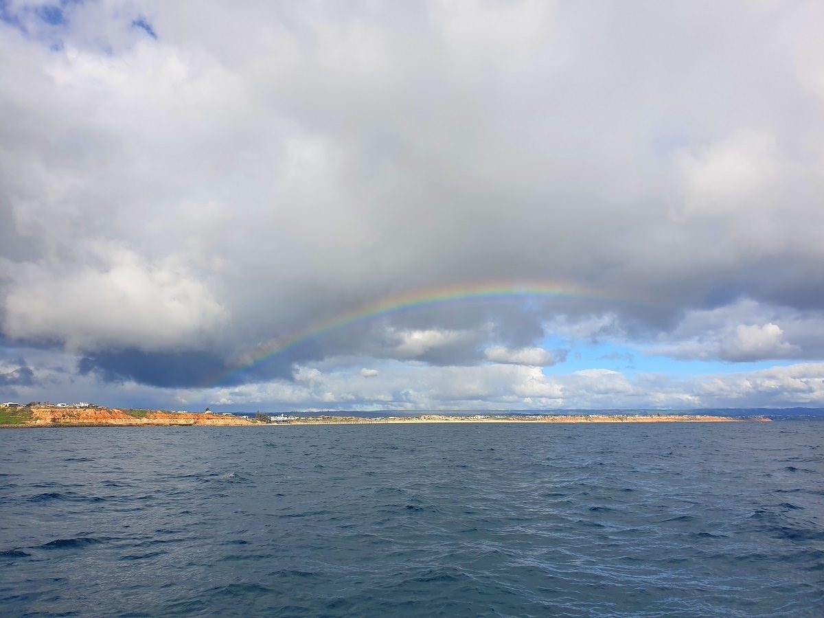 O'Sullivan Beach from the water. Photo: Anita Nedosyko